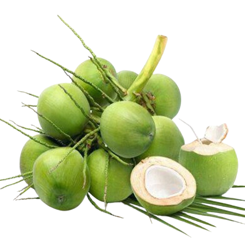 Kelapa